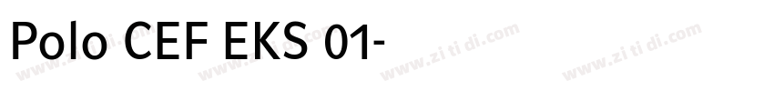 Polo CEF EKS 01字体转换